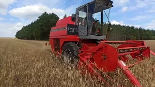 Massey Ferguson 16 żniwa 2022