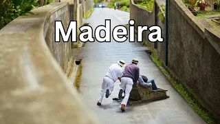MADEIRA - Portugal | Urlaubsinsel im Atlantik