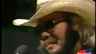 Hank Williams Jr  A Country Boy Can Survive