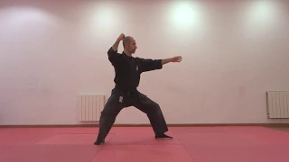 KAMAE NO KATA NINJUTSU BUJINKAN