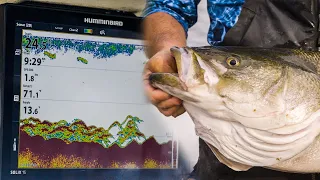 Using Side Imaging to Maximize Your Striped Bass Fishing with Capt. Rob Taylor