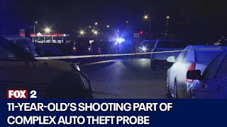 Child's shooting linked to Detroit car theft ring