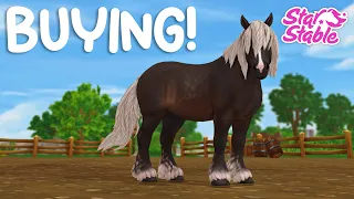 Buying Ardennes Horses! | Star Stable