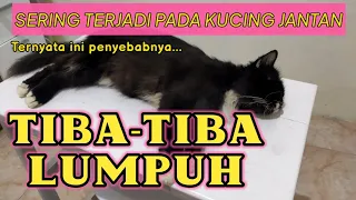 BONBON LUMPUH TIBA-TIBA, TERNYATA KENA PENYAKIT INI.......