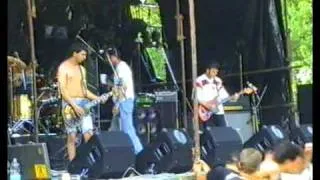 TRULA KOALICIJA alkoholicarka live in slo '98