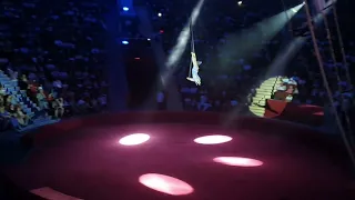 Цирк Алматы. Легендарное цирковое шоу имени Никулина. Медведи управляли автомобилем🤭