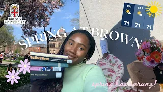 Week in My life: Spring at Brown University Vlog