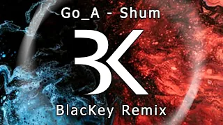 Go A - Shum (BlacKey Remix)