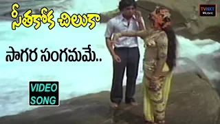 Seethakoka Chilaka-Telugu Movie Songs | Saagara Sangamame Video Song | TVNXT