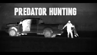 25 Predators with the Pulsar Trail XQ50 LRF