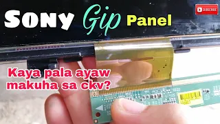 How to repair sony led tv good backlight no picture.