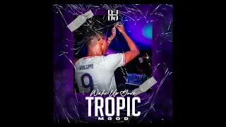 DJ ZERFLY - Wake Up Your Tropic Mood Vol.9 (AFRO, SHATTA, DANCEHALL, AMAPIANO, TRAP, BOUYON)