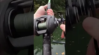 Big Fish SLAMS Fishing Rod