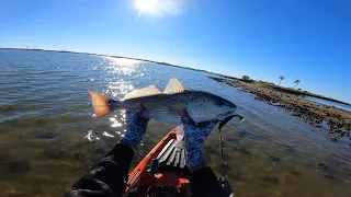 Crystal River Kayak Fishing The Nature Coast - Yankeetown, Florida