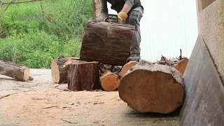 Cutting a Big Log With a Small Chainsaw (husqvarna)