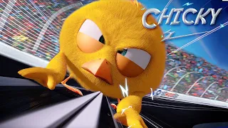 Where's Chicky? Funny Chicky 2023 | THE FINAL RACE | Cartoon in English for Kids | New episodes