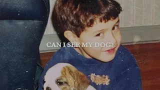 Roman Alexander - Can I See My Dog? (Official Audio)