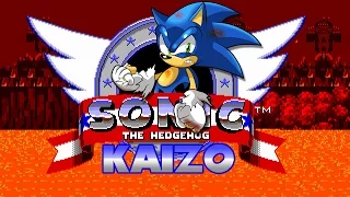 Kaizo Sonic - Walkthrough