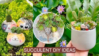 17 Succulent DIY Ideas| 17 Ý tưởng trang trí sen đá tuyệt đẹp| 多肉植物| 다육이들 | Suculentas