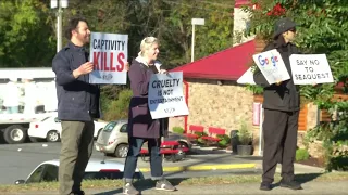 Protests during SeaQuest's grand opening in Lynchburg