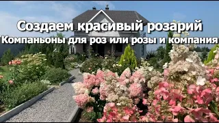 Создать красивый розарий просто | Компаньоны для роз или розы и компания