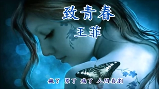 《致青春》  王菲 Faye Wong ♥♪♫*•