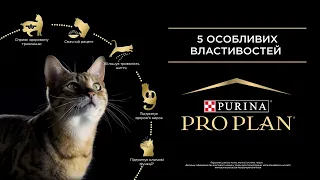 PURINA® PRO PLAN® - експертне харчування для стерилізованих котів