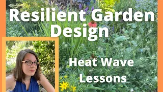 Designing a More Resilient Garden: Lessons from the Heat Wave