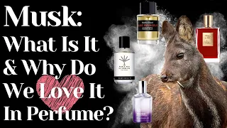 Musk In Perfumes What Is Musk? Notes In Perfume | Why Is Musk So Sexy? Animalic Powdery | White Musk