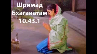 Шримад Бхагаватам 10.43.1. Сатья дас. 02.09.2016