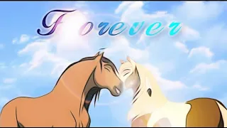 |Спирит&Дождик| Forever… Часть 3