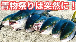 【爆釣入れ食いは突然です】激渋続きでガラガラの釣り場が突然青物爆発！信頼のセットアッパー投げれば釣れる最高の釣り【ショアジギング】