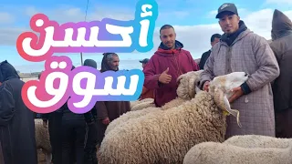 سوق تلات لولاد فيني 30/4/2024 تمن حولي خروفا و الماعز مع أحسن تمن هذه سنة