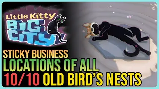 All Old Bird’s Nests – Little Kitty Big City