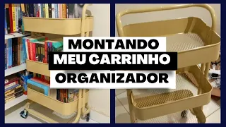 COMO EU MONTEI MEU CARRINHO ORGANIZADOR | Os Livros Livram