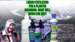 What are the best Liquid Fertilizers? #fertilizerforplants #beginners