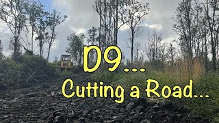 #D9 #bulldozer #bigisland Cutting a Road to the back of the Property!