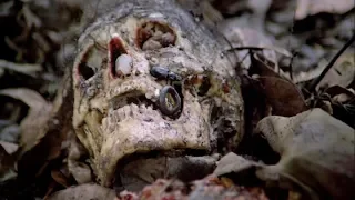 Nadzy i rozszarpani (1980) - RECENZJA SPOILEROWA "Cannibal Holocaust"