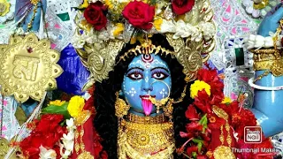 Maa Bhabotarini ll Badsharik Kali Puja ll Part:1