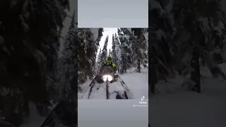 Polaris 9R tree riding