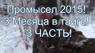 13 ЧАСТЬ!  Промысел 2015! Добыча на охоте. Утка, лось, олень.