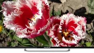 Отзыв на телевизор за адекватную цену с яркими красками Polarline 40PL51TC 40 дюймов от владельца