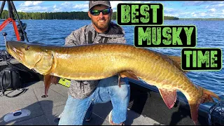 Best Time To Be Musky Fishing