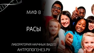 Расы - разные виды. Мифы об эволюции человека