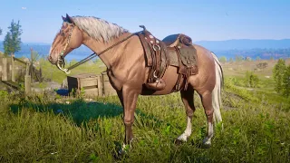 Red Dead Redemption 2: Guaranteed Hungarian Halfbred location for Horseman 10 early