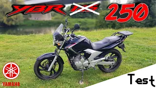 "Test" La 125 fut un BEST SELLER, la 250 un FLOP 😯 "Yamaha YBR 250 de 2008"