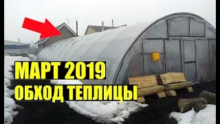 Что сегодня растет? Март 2019. Обход.