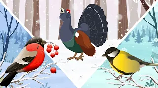 ЗИМУЮЩИЕ ПТИЦЫ для детей | Изучаем зимующих птиц