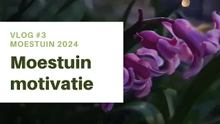 MOESTUIN 2024 | Moestuin motivatie 🌺 vlog #3