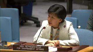 The value of disarmament, arms control and non-proliferation - Security Council Briefing